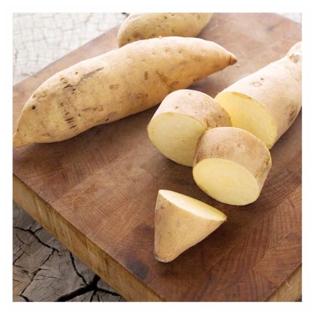 VRTNINA DOBRO & ZDRAVO SLADEK KROMPIR BONITA