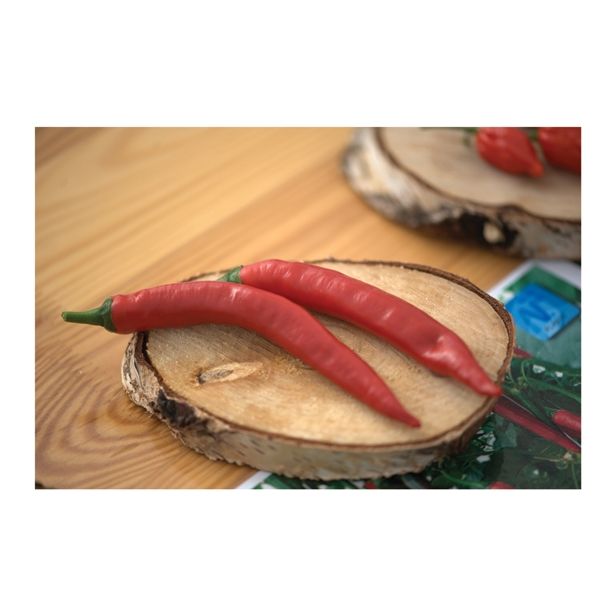 PLODOVKE VOLMARY CAPSICIM ANNUM 10.5 CM FIREFLAME F1