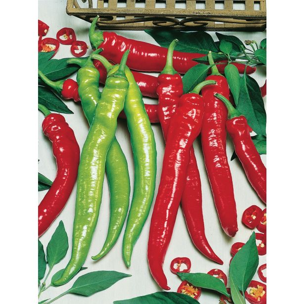 PLODOVKE VOLMARY DOLGA TURŠKA PAPRIKA LYRIC HOT