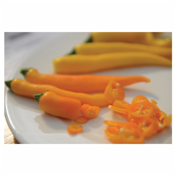 PLODOVKE VOLMARY FEFERONI VECTURA YELLOW