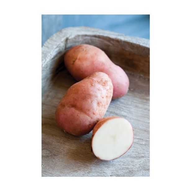 VRTNINA VOLMARY KROMPIR