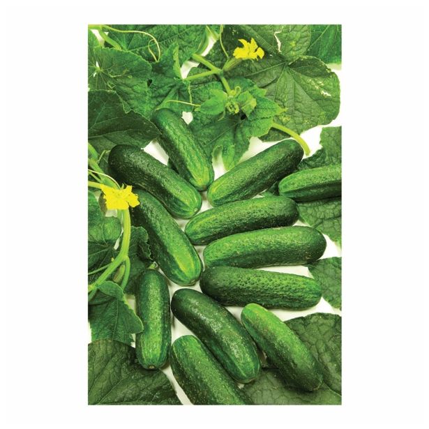 PLODOVKE VOLMARY KUMARE ZA VLAGANJE DIAMANT F1