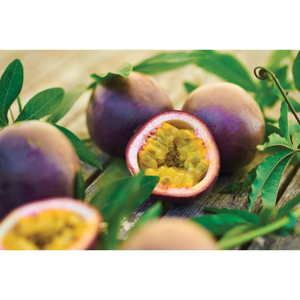 VRTNINA VOLMARY MARAKUJA SUNTROPICS