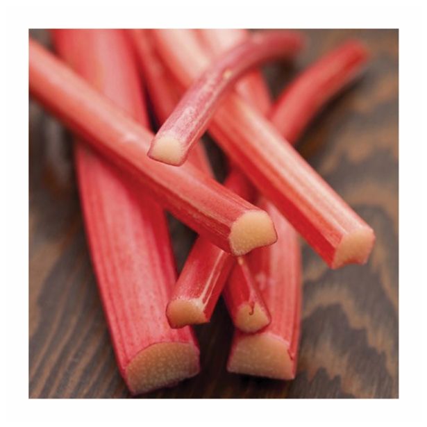 RABARBARA VOLMARY ZGODNJA L17