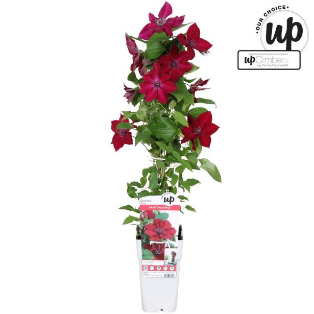 VZPENJALKA SROBOT NUBIA L15CM