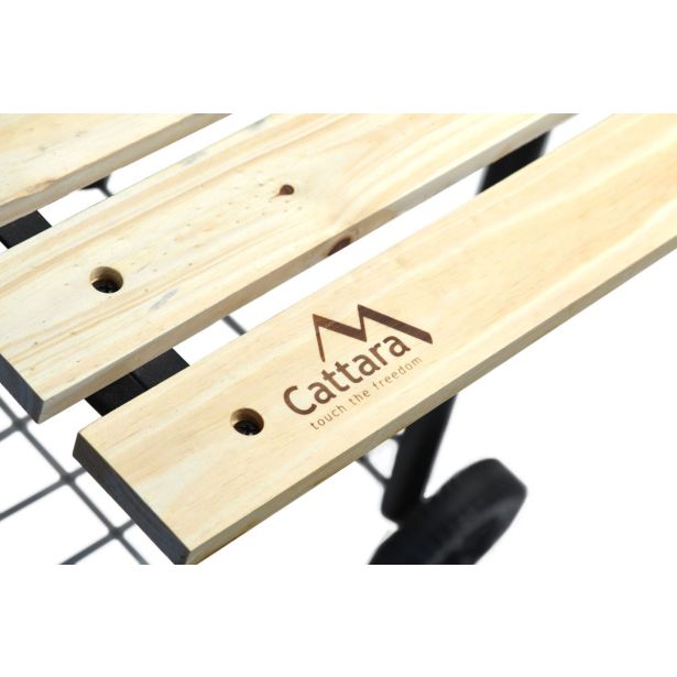 ŽAR NA OGLJE CATTARA SMOKIE 100X55X113 CM S PREKAJEVALNICO