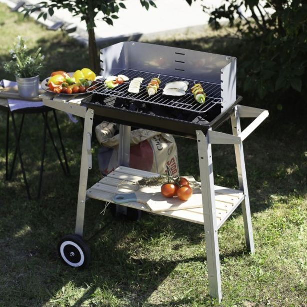 ŽAR NA OGLJE LIVOO DOC244