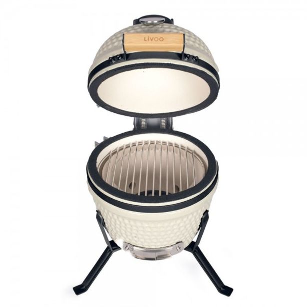 ŽAR NA OGLJE LIVOO DOC283C