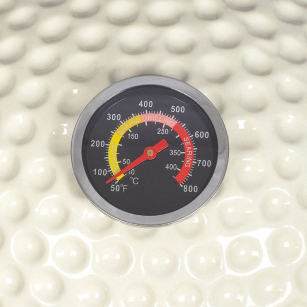 ŽAR NA OGLJE LIVOO DOC283C