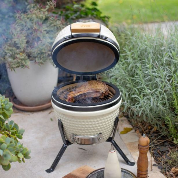 ŽAR NA OGLJE LIVOO DOC283C