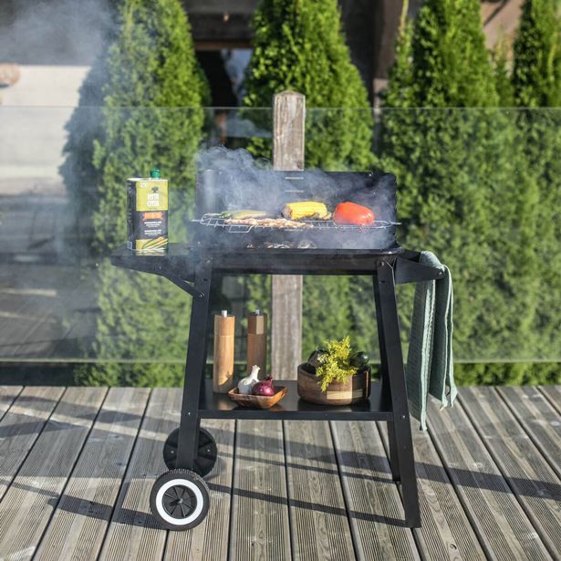 ŽAR NA OGLJE LIVOO DOC328 ČRN