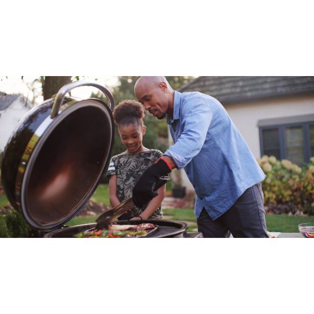 ŽAR NA OGLJE WEBER SUMMIT KAMADO E6