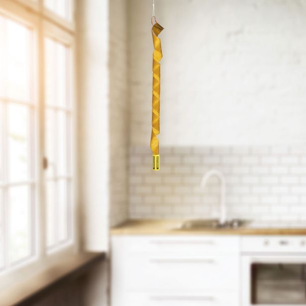 ZAŠČITA PRED INSEKTI WINDHAGER MUHOLOVEC-NARAVNO LEPILO 4 KOSI