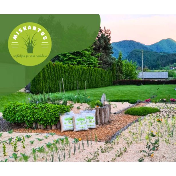 ZASTIRKA MISKANTUS 7 KG 50 L