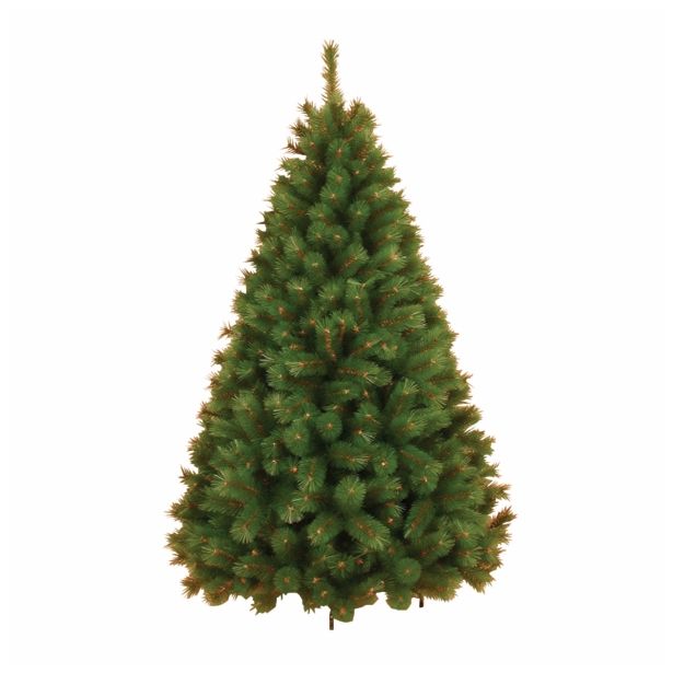 NOVOLETNA JELKA 200 CM HIGHLAND FIR