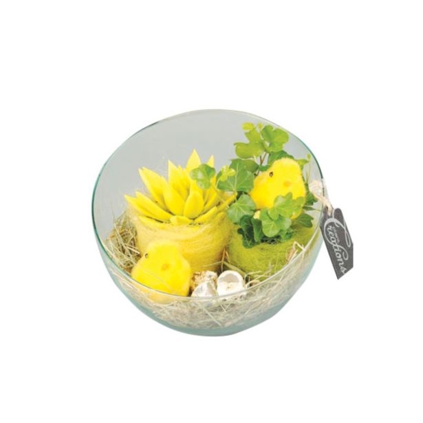 ZELENA RASTLINA ARANŽMA Z ESCHEVERIO V STEKLU VELIKA NOČ