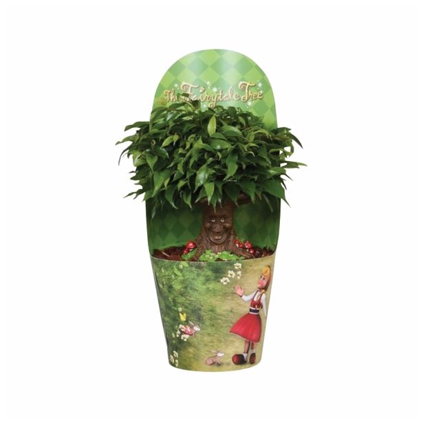 FIKUS BENJAMIN GREEN KINKY FAIRYTALE