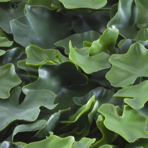 ZELENA STENA INTER CERAMIC BRAGA 50X50 CM POLIETILEN ZELENA