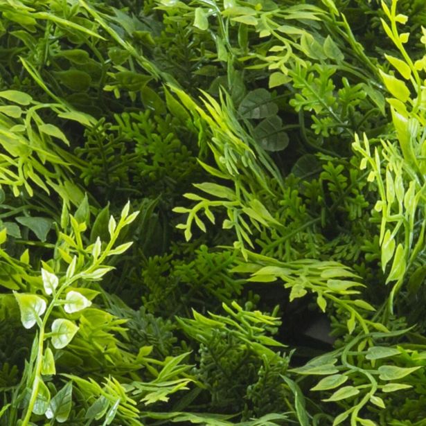 ZELENA STENA INTER CERAMIC MADEIRA 50X50 CM POLIETILEN ZELENA