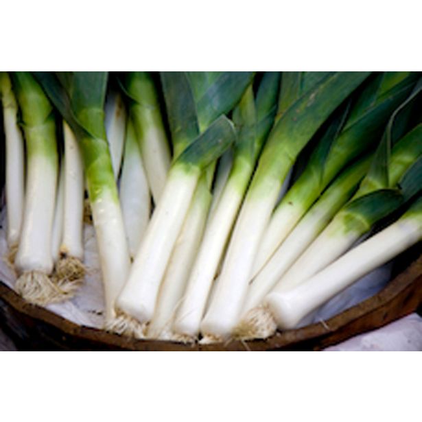 ZELENJAVNA SADIKA POR 9 KOS