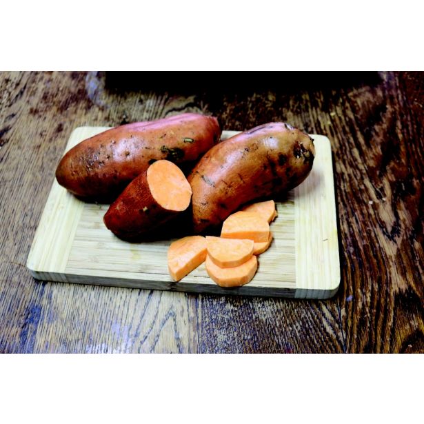 ZELENJAVNA SADIKA SLADEK KROMPIR L12