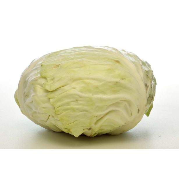 KAPUSNICE L'ORTO FRUTTIFERO ZELJE 4/1 SENNEN F1 KULTIPAK