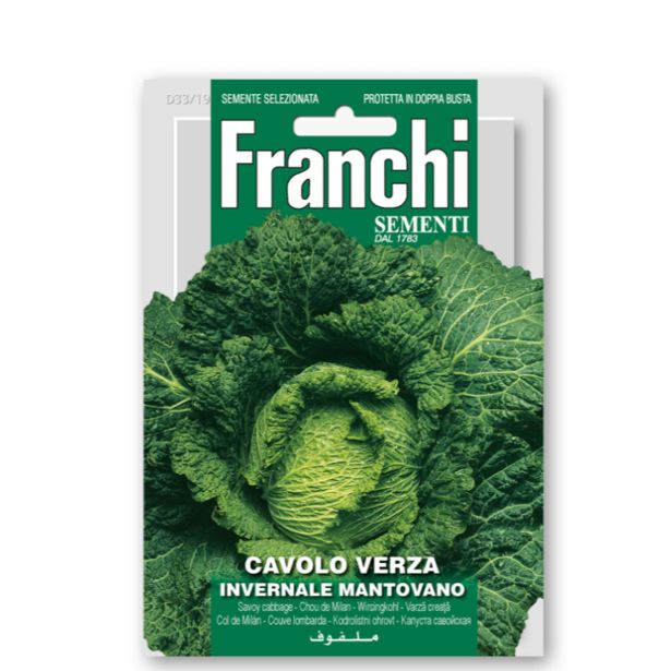 KAPUSNICA FRANCHI SEMENTI ZIMSKO ZELJE MANTOVANO