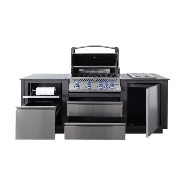 LETNA KUHINJA NAPOLEON Z VGRADNIM ŽAROM BIP500