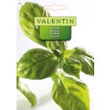 BAZILIKA VALENTIN 1076