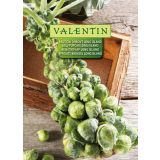 KAPUSNICA VALENTIN 120 BRSTIČNI HROVT LONG ISLAND