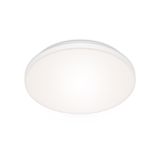 LED PANEL BRILONER 12W CCT BREZ ROBA OKROGLI, DALJIN.UPRAV.