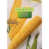 SEME VRTNINE VALENTIN 1303 SLADKA KORUZA HONEY SWEET