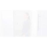 ROČNI AKUMUL. SESALNIK BISSEL 2278N PET HAIR ERASER