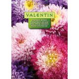 ASTRA VALENTIN 2404 PRINCES - MEŠANICA