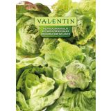 LISTNA ZELENJAVA VALENTIN 383 SOLATA GREAT LAKES 659