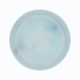 OPREMA ZA SMART SVETILA 3.5W GU10 RGBW DIM ZIGBEE