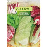 LISTNA ZELENJAVA VALENTIN 427 RADIČ MEŠANICA CICHORIUM INTYBUS