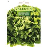 LISTNA ZELENJAVA VALENTIN 442 ENDIVIJA DEČJA GLAVA
