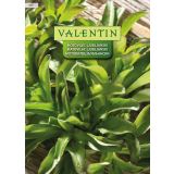 LISTNA ZELENJAVA VALENTIN 455 MOTOVILEC LJUBLJANSKI