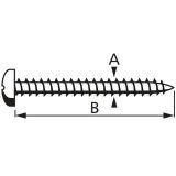 PLOČEVINSKI VIJAK DIN 7981 4.8X19 A2F PH2 V ZAVITKU JE 25 KOS
