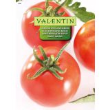 PLODOVKA VALENTIN 508 PARADIŽNIK NOVOSADSKI JABUČAR
