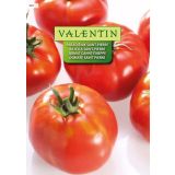 PLODOVKA VALENTIN 522 PARADIŽNIK SAINT PIERRE