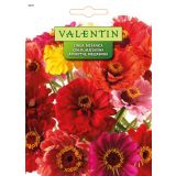 CINIJA VALENTIN 5971 MEŠANICA