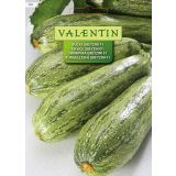 PLODOVKA VALENTIN 701 BUČKE GREYZINI F1