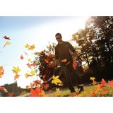 AKUMULATORSKI PUHALNIK GREENWORKS 80V BREZ BATERIJE IN POLNILNI