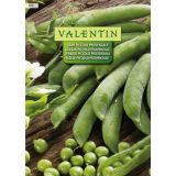 STROČNICA VALENTIN 863 GRAH PICCOLO PROVANZALE