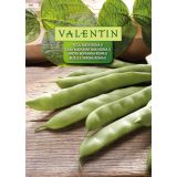 STROČNICA VALENTIN 941 FIŽOL NIZEK ZELEN PLOŠČAT