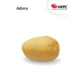 SEMENSKI KROMPIR ADORA 2.5 KG