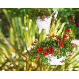 PE ZUNANJI LONEC ALGARVE BEL 25CM