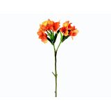 SUHO CVETJE ALSTROMERIJA VEJICA X2 ORANŽNA
